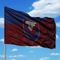 Прапор 231 Окремий батальйон логістики Новий шеврон два кольори